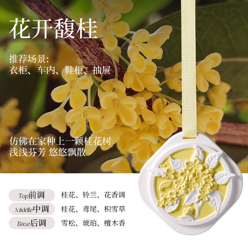 玛塔莉莱（Matarile）车载香薰室内持久留香家用香水石膏卧室除味挂件香氛 满陇桂雨
