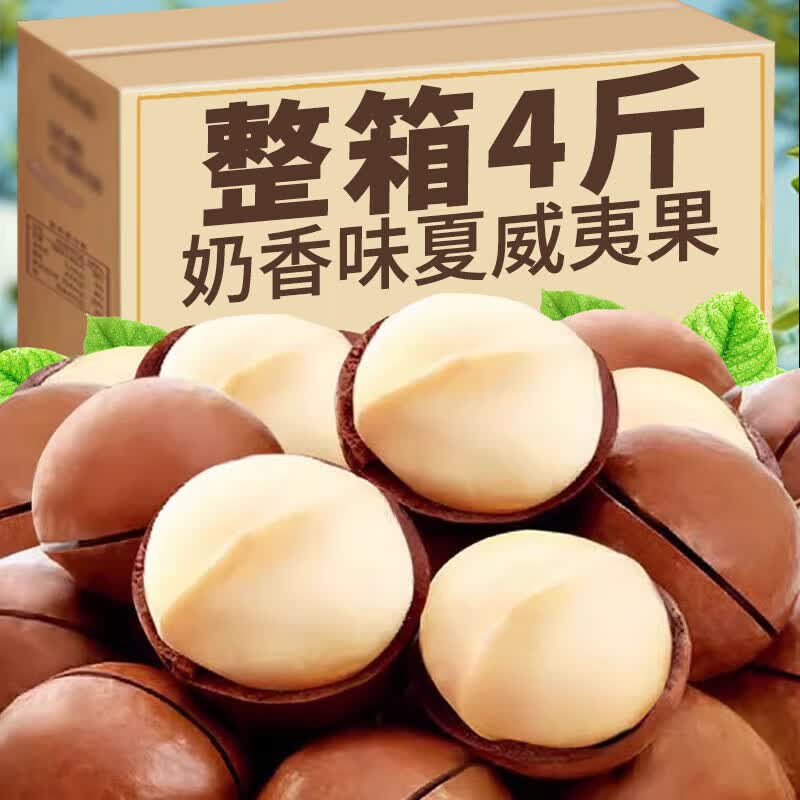 食怀新货夏威夷果大颗粒孕妇坚果零食奶油味干果炒货办公室解 [尝鲜]夏威夷果1袋(250g)
