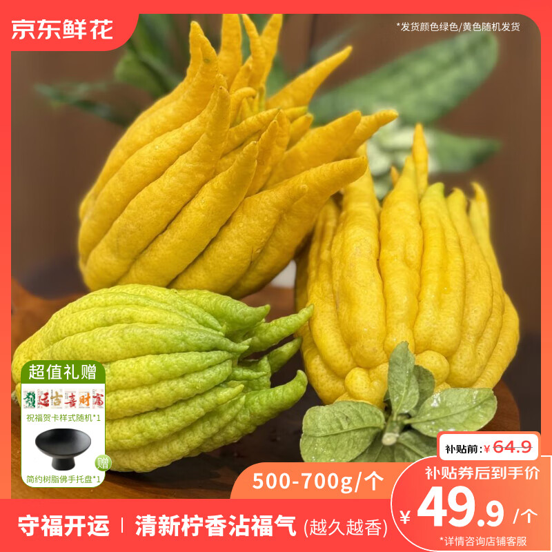 京东鲜花佛手柑500g-700g+盆+贺卡套装鲜观赏节日礼物源头直发