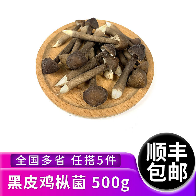 綠食者新鮮黑皮雞樅菌500g菌菇長(zhǎng)根蘑菇荔枝菌雞棕菇煲湯食材5件 黑皮雞樅菌 500g
