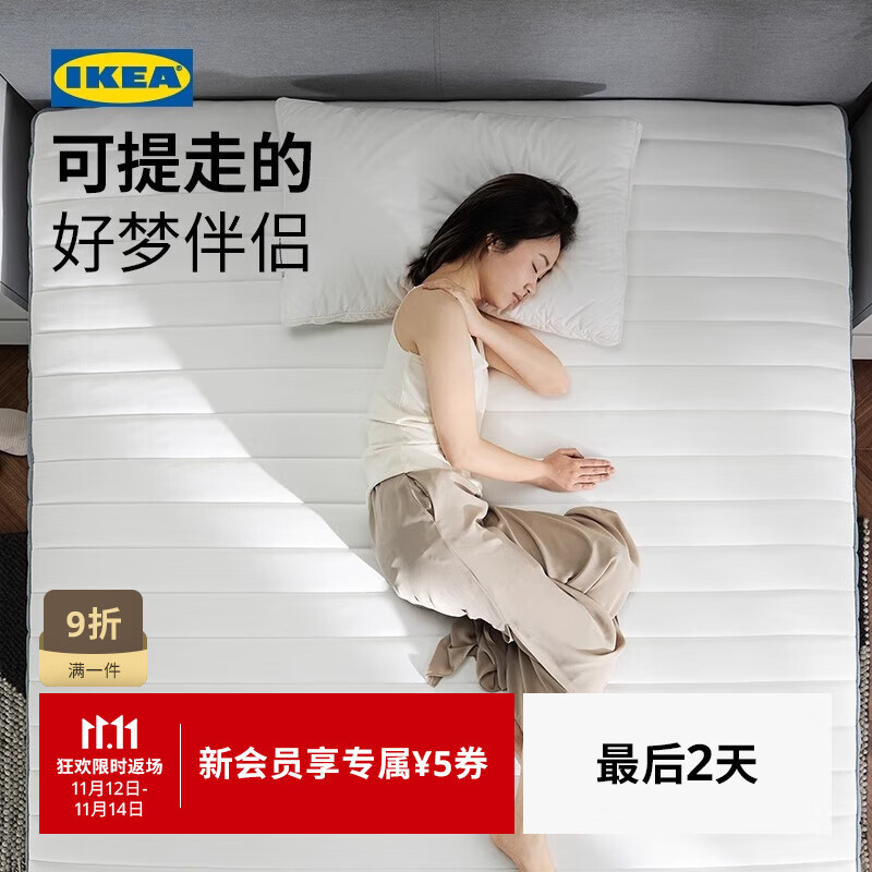 ˼ңIKEA ָװɴ֧żϯ˼Ӳ װɴ桾Ӳ+ǳɫ 1500mm*2000mm 1709.05Ԫ