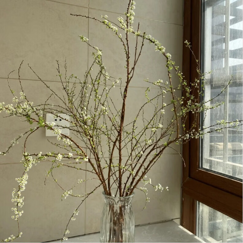 ѩ�� ���л���֦ˮ��廨 ����ֱ�� 1����400-450�ˣ�����֦���滨 9.9Ԫ(����ȯ)