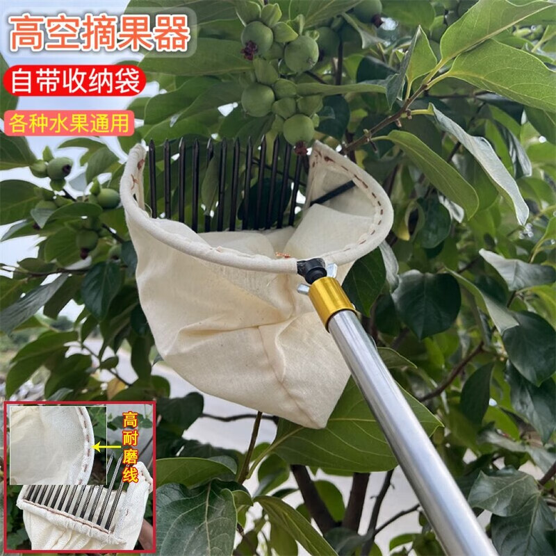 旭杉斯高空摘果神器酸枣山楂枇杷杨梅八角侧柏籽枇杷芒果山杏女贞子