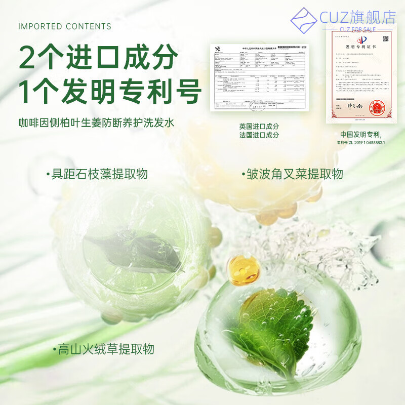 熏姿颜玉可洁草本植萃洗发露侧柏叶洗发水中药材防脱生发育发 2瓶【基础呵护】 官方直售