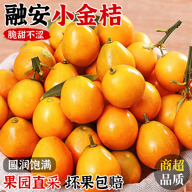 融安金桔旗舰店正宗广西融安金桔第三代脆蜜金柑甜脆皮滑生鲜年货礼盒 【推荐】滑皮净重1.8斤 20g+【独立装】伴手礼 无提袋