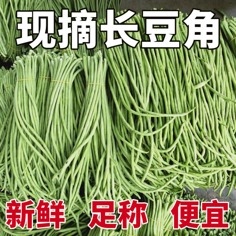 现摘长豆角新鲜时令蔬菜农家现摘豇豆新鲜嫩豆角豇豆泡菜脆嫩 新鲜采摘 泡沫箱加冰保鲜 新鲜长豆角带箱含冰约6斤【净重5-5.3斤】