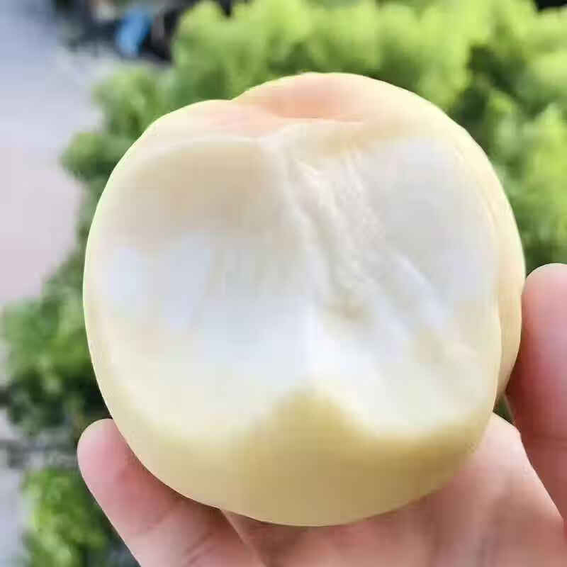 山东奶油白桃【顺丰】蒙阴大白桃白玉蜜桃脆桃孕妇脆甜多汁 净重2斤【单果200g+】 顺丰包邮|当日发货|香甜爆汁
