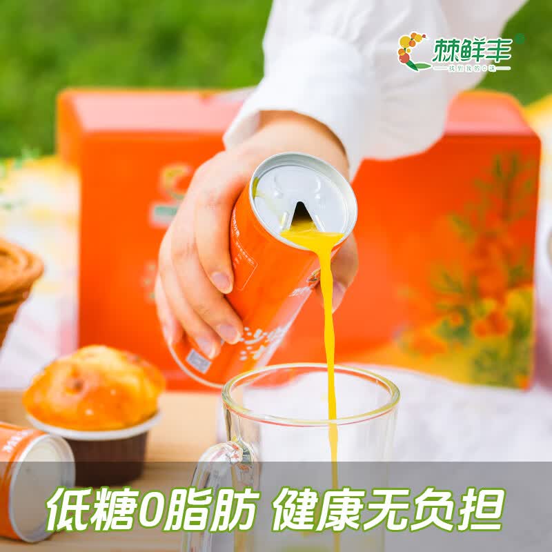 棘鲜丰沙棘汁饮料新疆特产正宗鲜榨沙棘果汁 原果汁≥15% 沙棘汁饮料240ml*8罐
