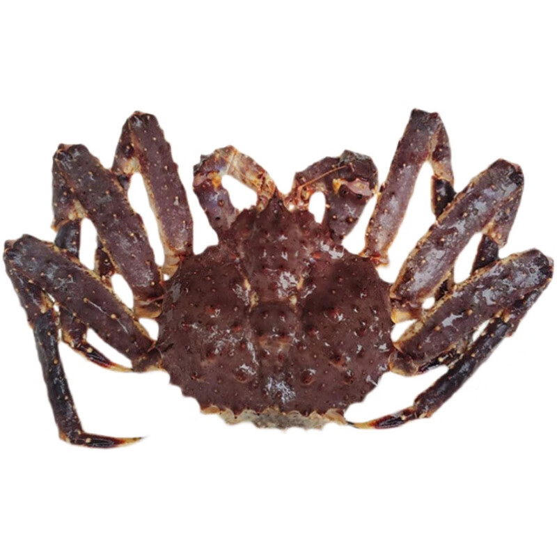 DL胖东来同款DL品质代购帝王蟹阿拉斯加鲜活海鲜水产超特大冰鲜帝 冰鲜蟹3斤(实发3-3.5斤)只