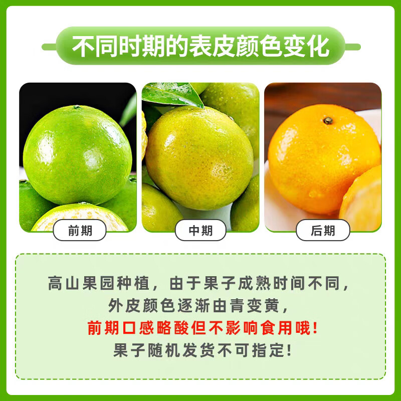 广西应季皇帝柑净重3斤