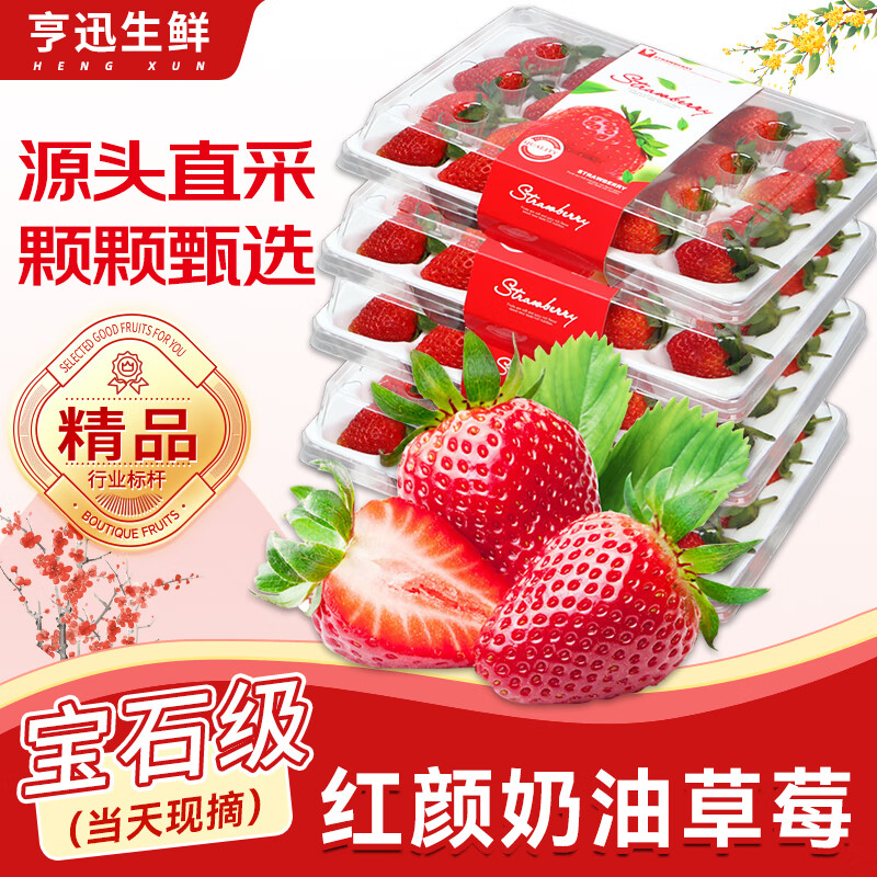 亨迅草莓大凉山99红颜奶油草莓非丹东草莓甜孕妇现摘新鲜时令水果生鲜 4盒装丨【源头直采】 净1200g