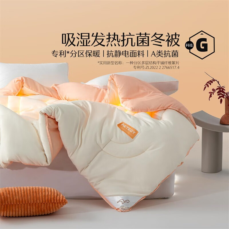水星家纺被子冬被 A类抗菌吸湿发热分区保暖纤维被子冬被宿舍家用被芯 暖HOT冬被【A类抗菌/分区保暖】 220×240cm（净重约8.6斤）