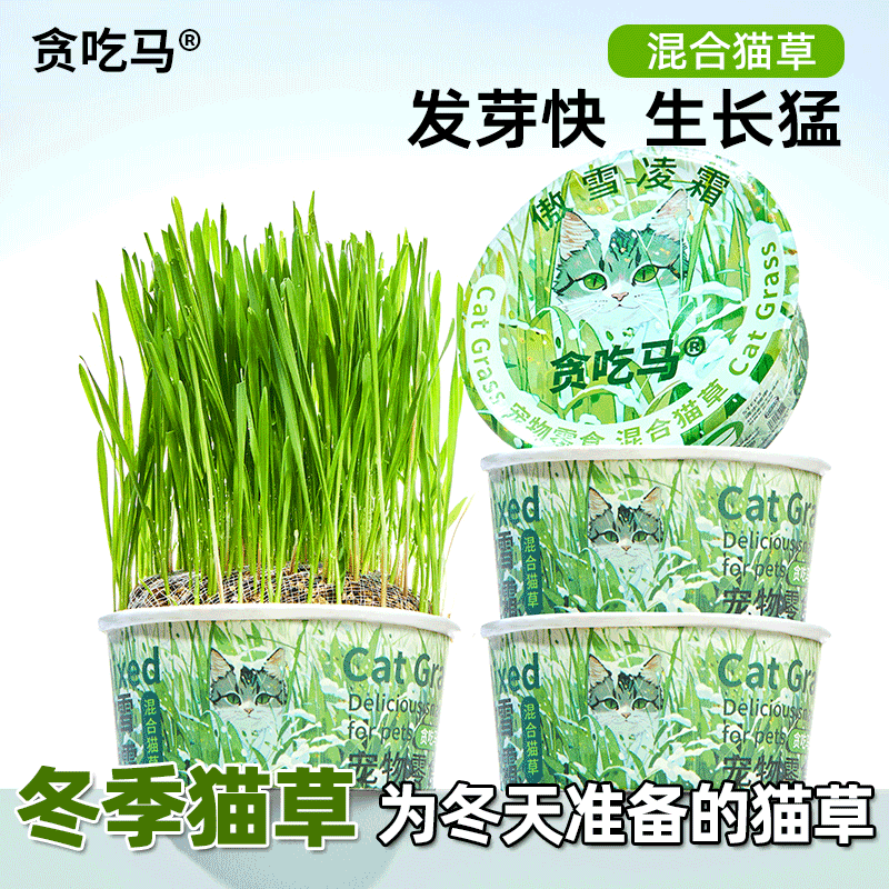 贪吃马冬季款懒人猫草盒装猫零食无土水培化毛排毛去毛球猫咪专用猫草 1盒