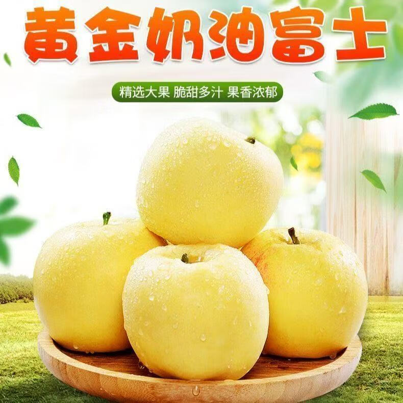 华北强(HUABEIQIANG)奶油富士苹果水果新鲜脆甜多汁时令整箱新鲜采摘多仓发货 净重4.5斤装单果70-75mm