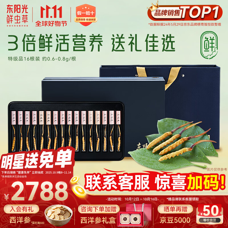 东阳光鲜虫草0.6-0.8g/根16根新鲜冬虫夏草补品送长辈老人源头直发包邮