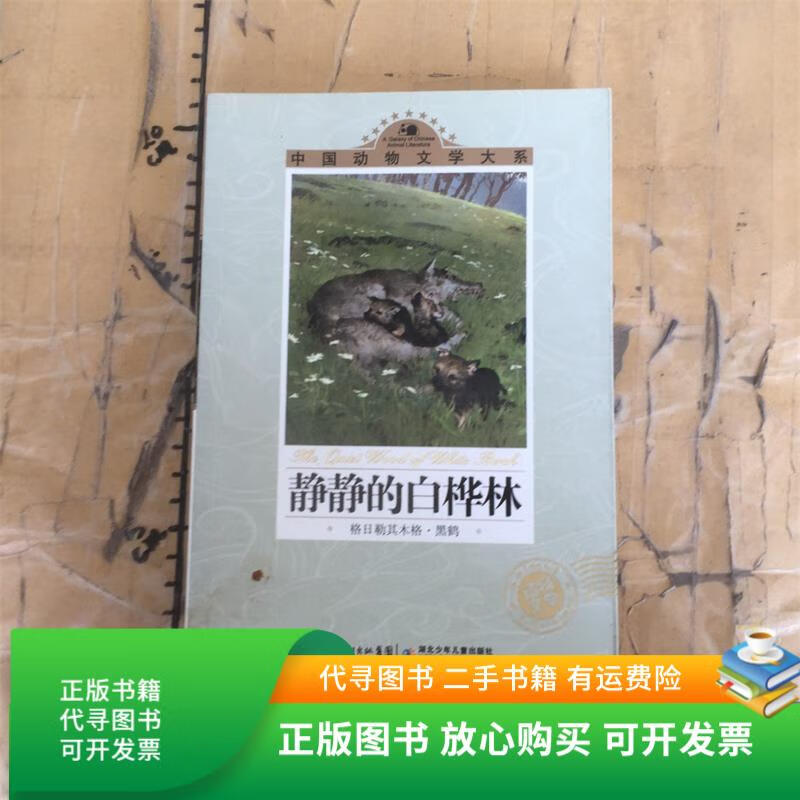 正版旧书 静静的白桦林