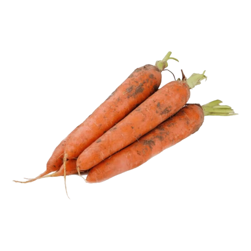 河南新鲜现挖带泥红萝卜水果胡萝卜小果早餐低脂蔬菜超市真便宜 1斤小果【含箱】