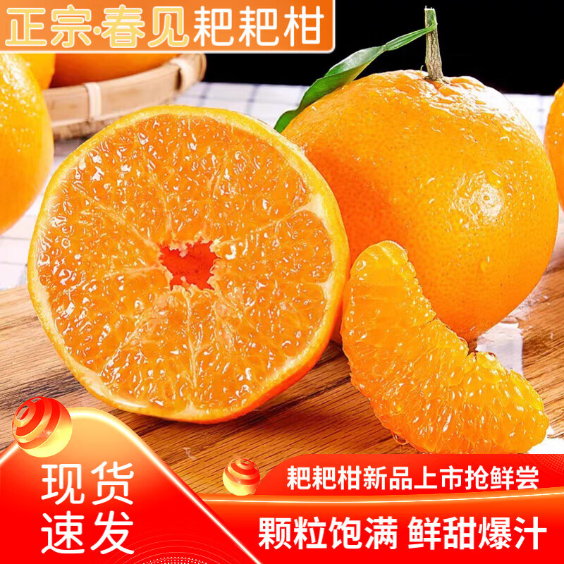 酷果汇春见粑粑柑新鲜现摘水果甄选品质彩箱礼品盒装产地直发5/8斤装 净重8斤【性价比高-全家爽吃】85MM+