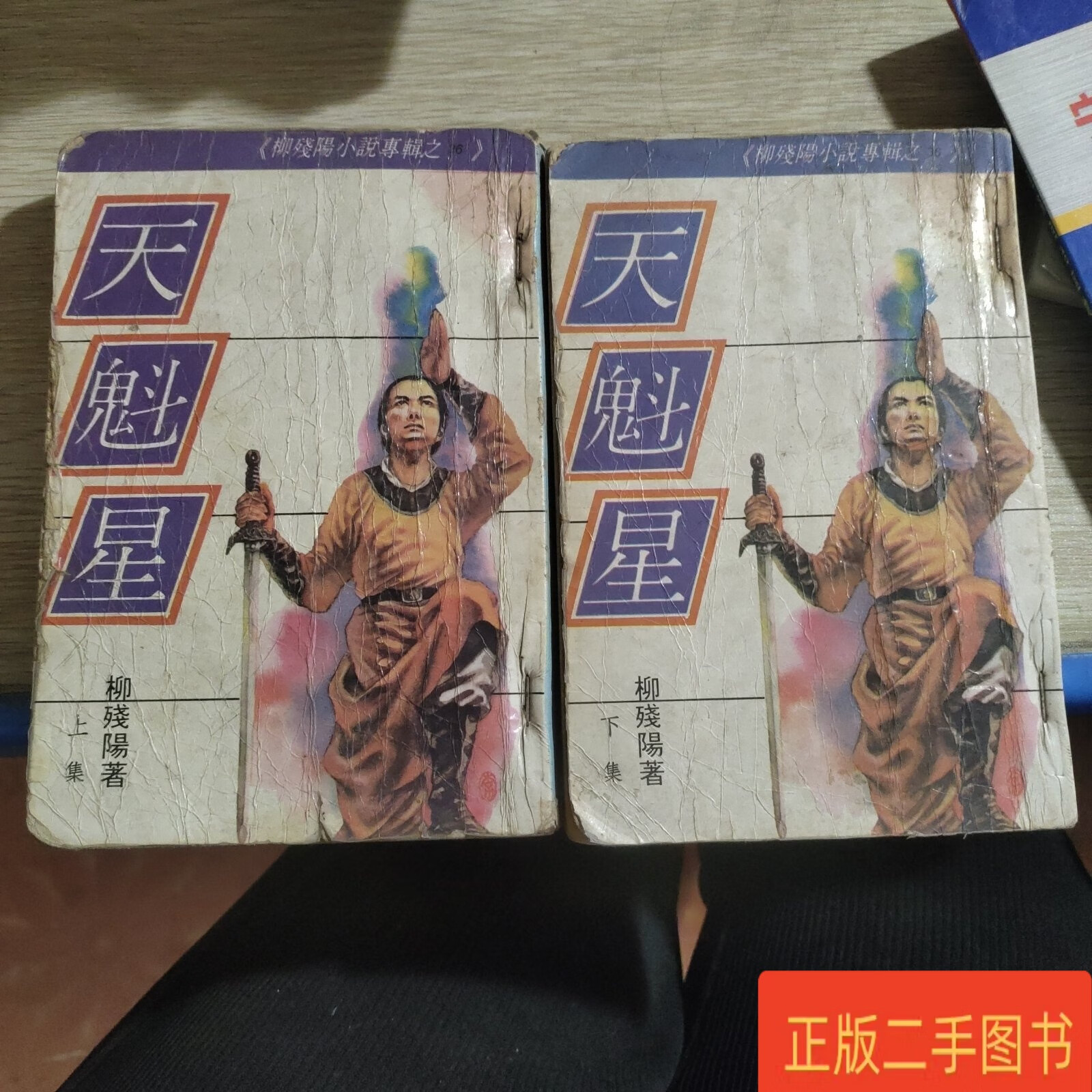 天魁星 上下 柳残阳 毅力出版社