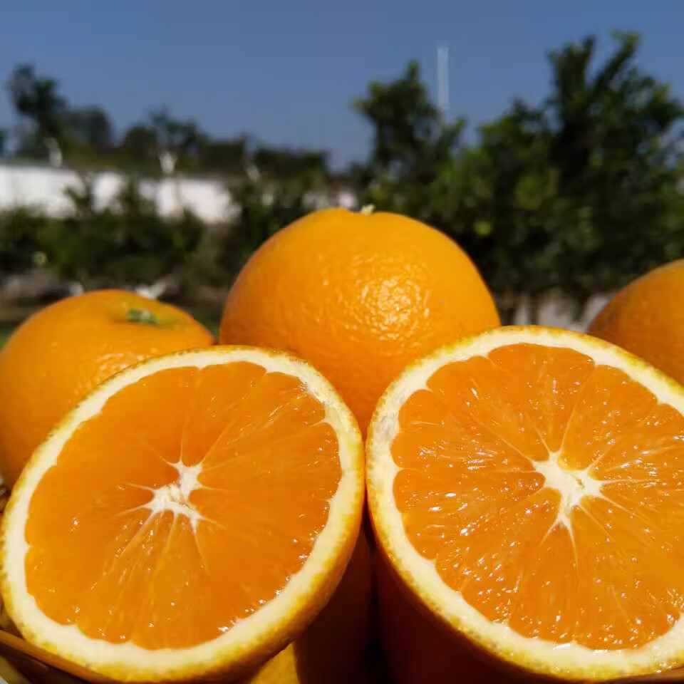 庾丰江西赣南脐橙新鲜橙子孕妇水果整箱年货送礼团购纽荷尔榨汁手剥橙 10斤装（净果9斤） 单果200g+