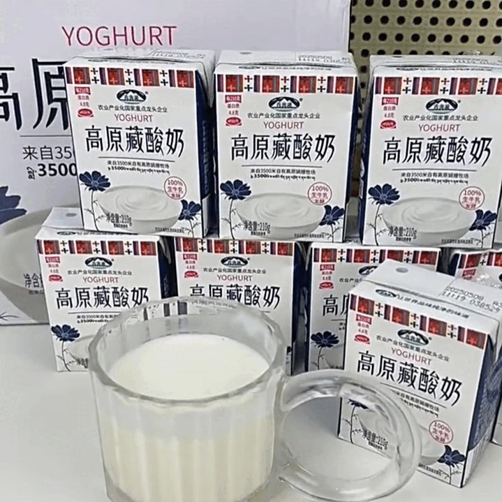 青海湖娟姗牧场高原藏酸奶210g*10盒整箱常温发酵乳早餐原味酸奶 高原藏酸奶210g*10盒/箱