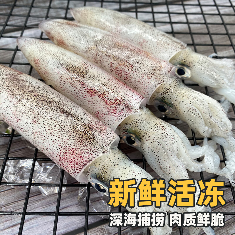桂之海 桂(GUIZHIHAI)活冻北海鱿鱼新鲜冷冻海鲜白灼芥末烧烤火锅鲜活冰鲜大尤鱼 400g/3盒【16-20条/包,活冻鱿】共2.4斤
