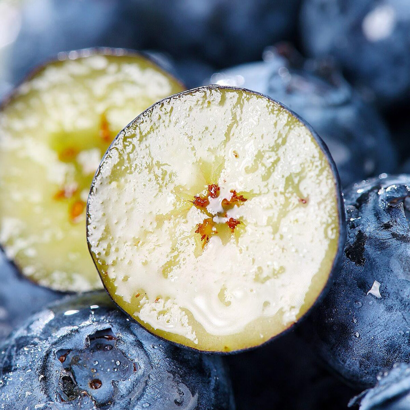 【不仅有机而且富硒】紫晶蓝莓 0农残0添加高营养 现采/顺丰空运 1斤 金奖级【现摘/顺丰冷链空运】