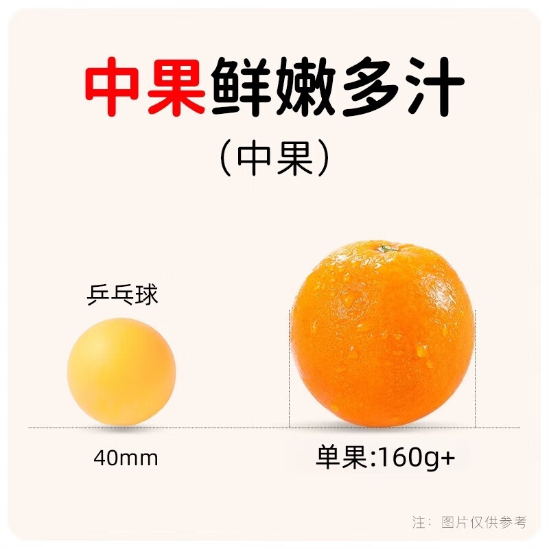 青馋猫江西赣南脐橙赣州脐橙手剥甜橙新鲜水果当季现摘橙子节日送礼生鲜 “橙”风破浪-净重8.5斤【果径70-80mm】带箱