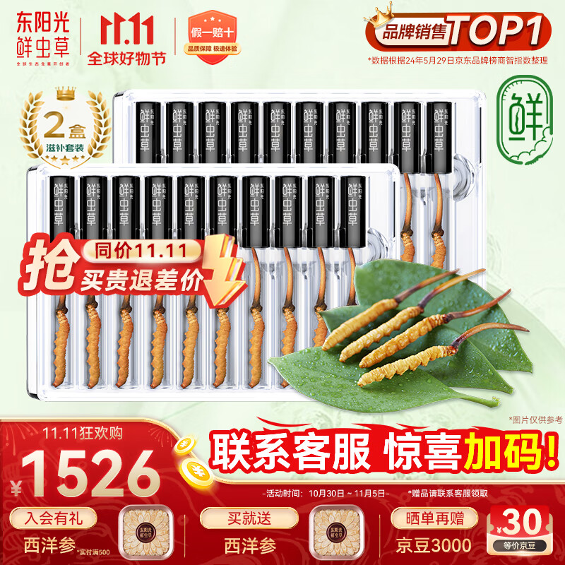 东阳光鲜虫草0.4-0.6g/根20根新鲜冬虫夏草补品送长辈老人源头直发包邮