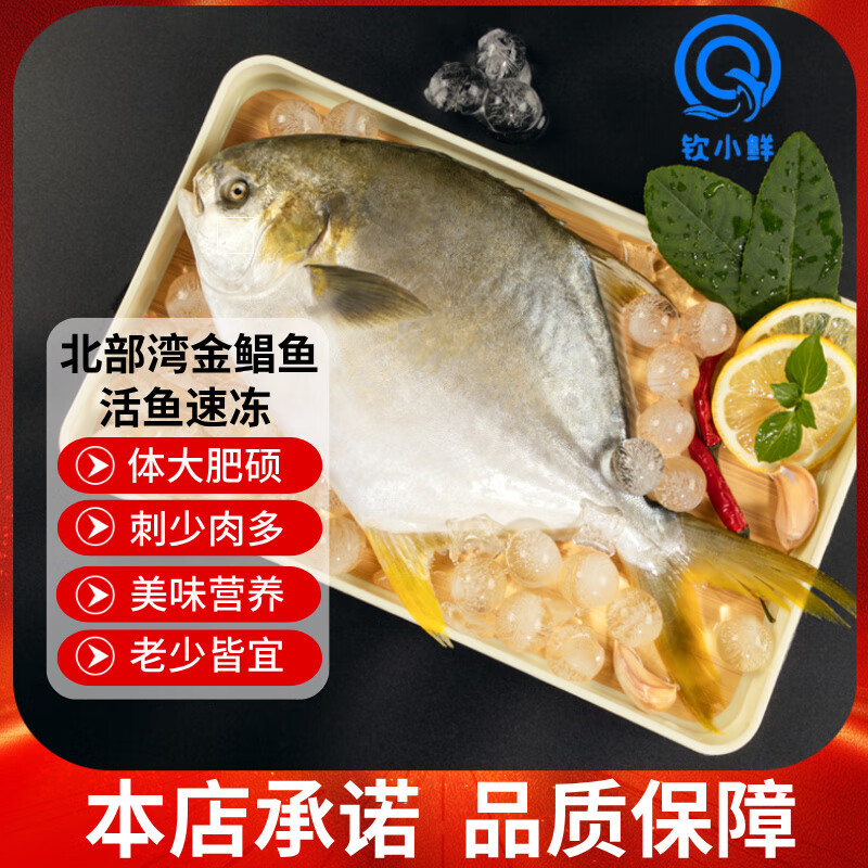 钦小鲜北部湾深海金鲳鱼特大号海鱼 鱼类生鲜 烧烤 火锅食材 海鲜水产 【金鲳鱼】400-500克*4条净重