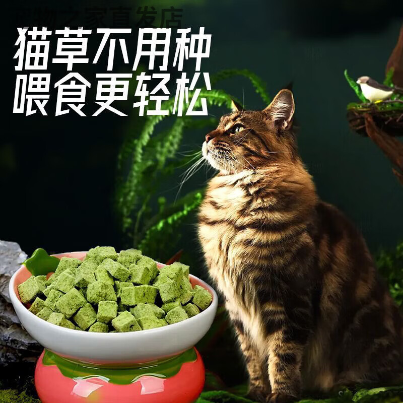 阿飛和巴弟（Alfie&Buddy）凍干貓草粒貓咪零食美毛化毛潔齒磨牙貓草塊貓薄荷餅干片 【約79顆】+65ML密封罐 【雞肉+貓草】化毛