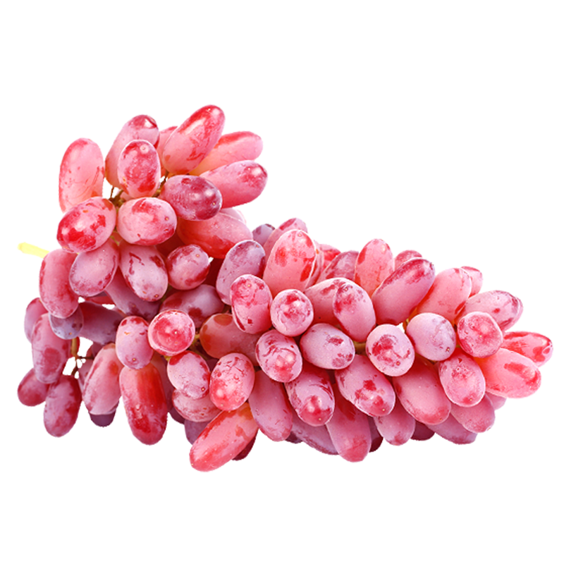 Ѹ˳᡿ɽѺѴӿɭˮ 2װհװ1.5