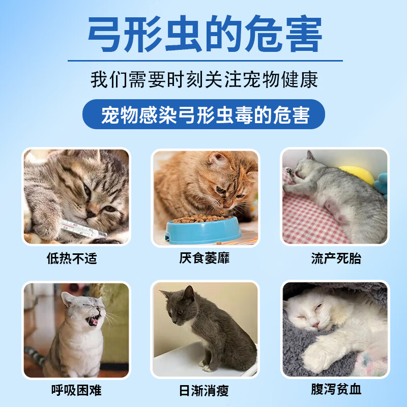 弓形虫检测试纸猫咪狗狗TOXO病毒检测卡医院同款犬猫通用顺丰包邮 弓形虫试纸1盒【买2盒送1盒】 医院同款（ 高精准度99.99%）