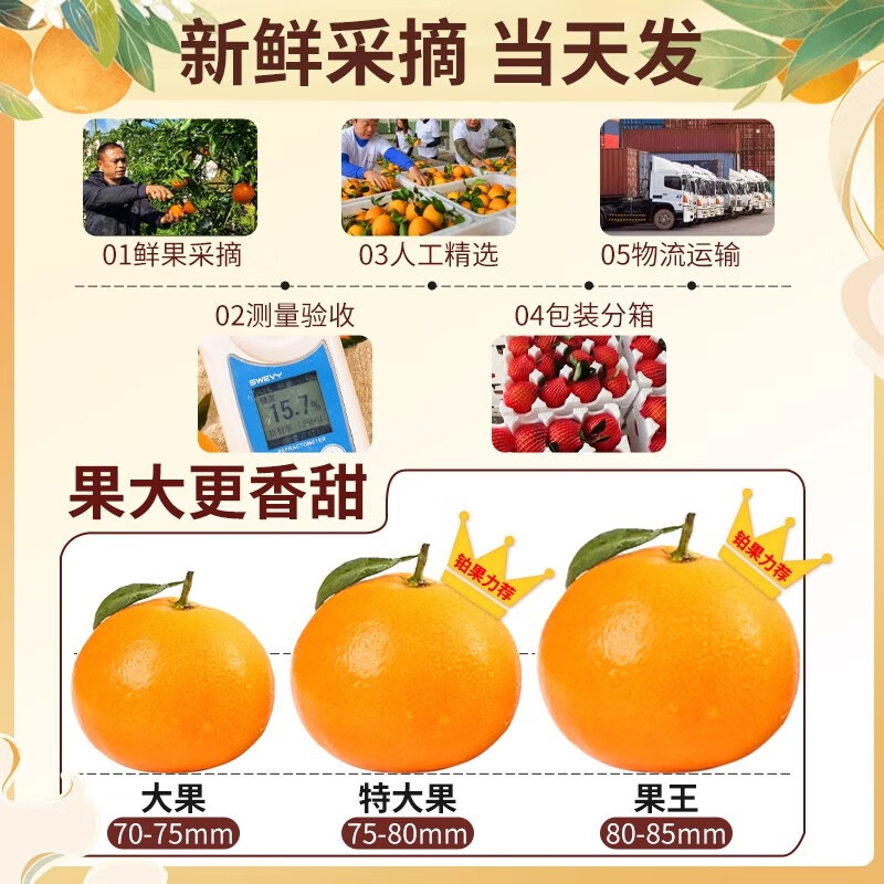 四川爱媛38号果冻橙【多地次日达】新鲜桔橘子水果礼盒装 5斤优选装【香甜爆汁】净4.5斤