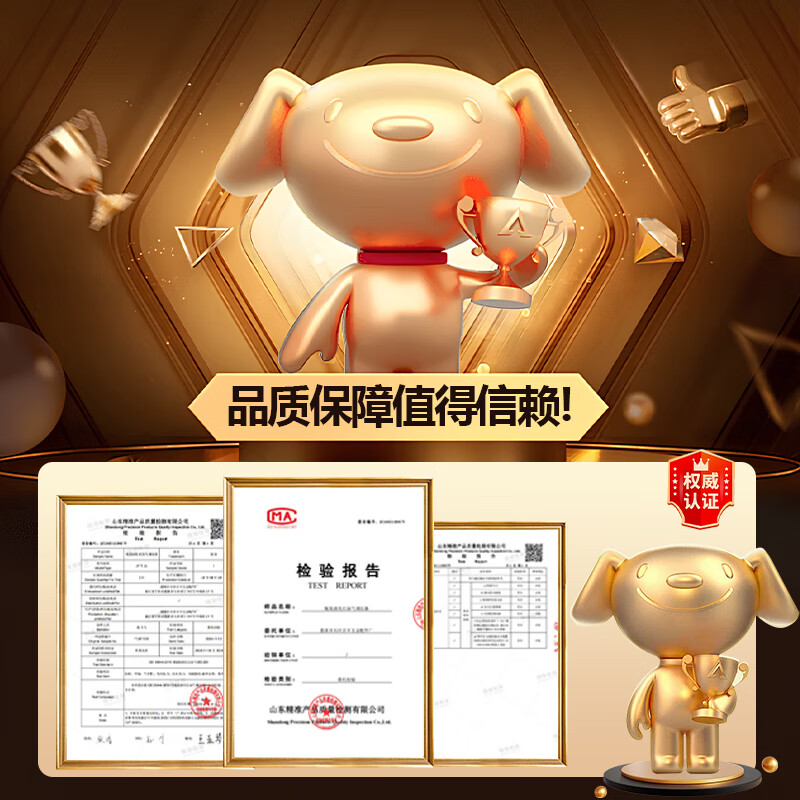 炬神火 液化气减压阀煤气罐家用阀门新国标热水器低压燃气防爆管安全阀 【1.2大流量-带表】生产许可丨安全防爆丨带插头 【漏气自锁】国标标准生产许可