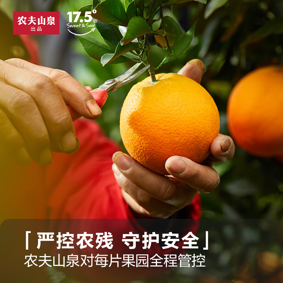 农夫山泉2025新鲜上市江西特产17.5°脐橙现摘新鲜橙子水果脐橙礼盒整箱橙 铂金果17.5°橙3kg