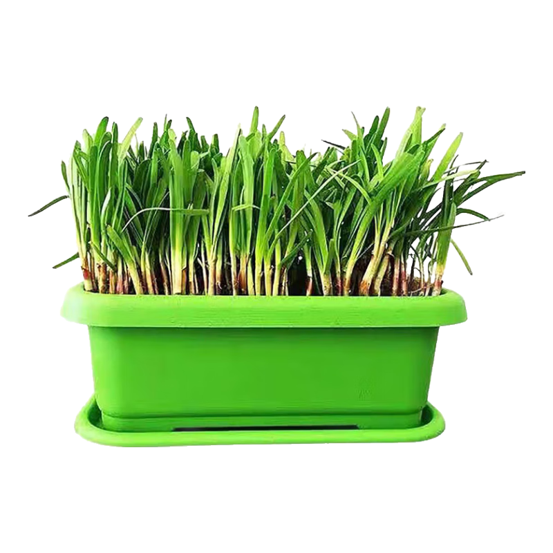 ԭ��� �Ͼ²˸�100��+���л��� 9.69Ԫ