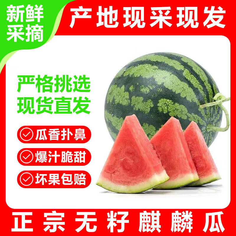 现摘现发麒麟西瓜脆甜多汁 无籽美都麒麟瓜【5-6斤】