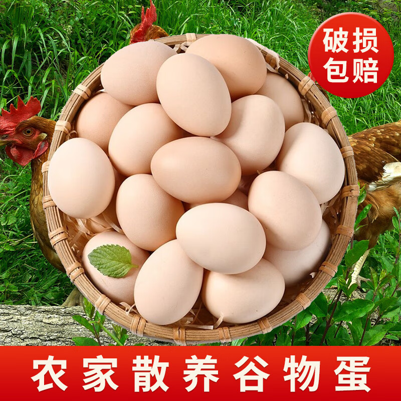 芮瑞20枚*45g果園散養土雞蛋新鮮柴雞蛋農家笨雞蛋草雞蛋生雞蛋 20枚