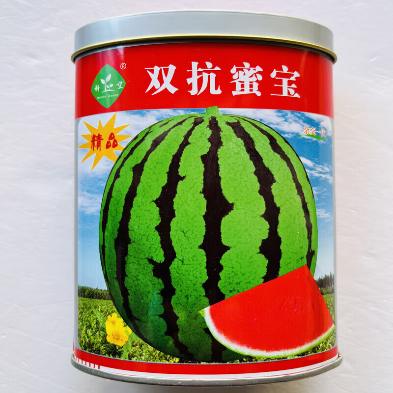 科乐双抗蜜宝西瓜种子高糖大果早熟高产抗病耐重茬农家春秋