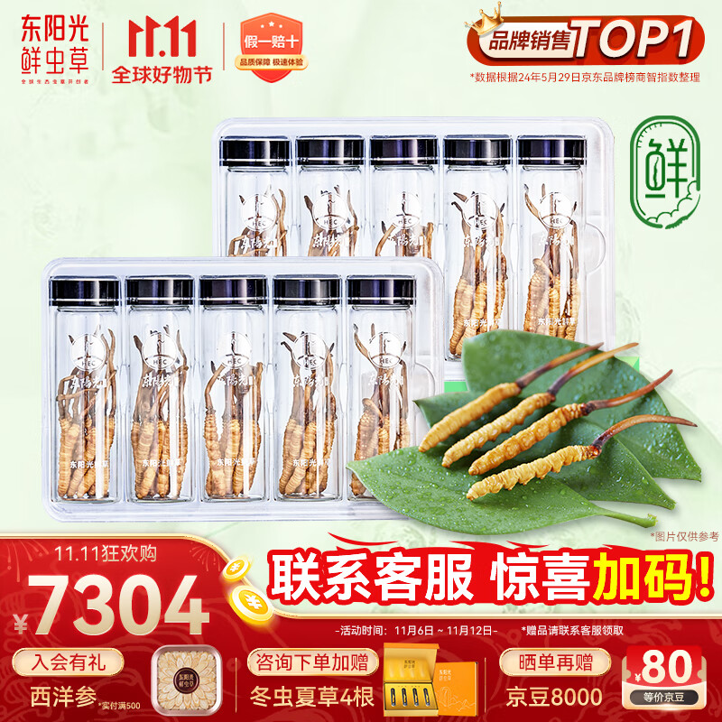 东阳光鲜虫草0.4-0.6g/根100根新鲜冬虫夏草补品送长辈老人源头直发包邮