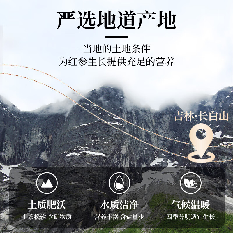 思恩腾瑞贝安正宗红参片100g人参片党参当归红枣煲汤食材泡水喝滋补气血养生茶 【滋补尝鲜】红参片 10g*2袋 共20g