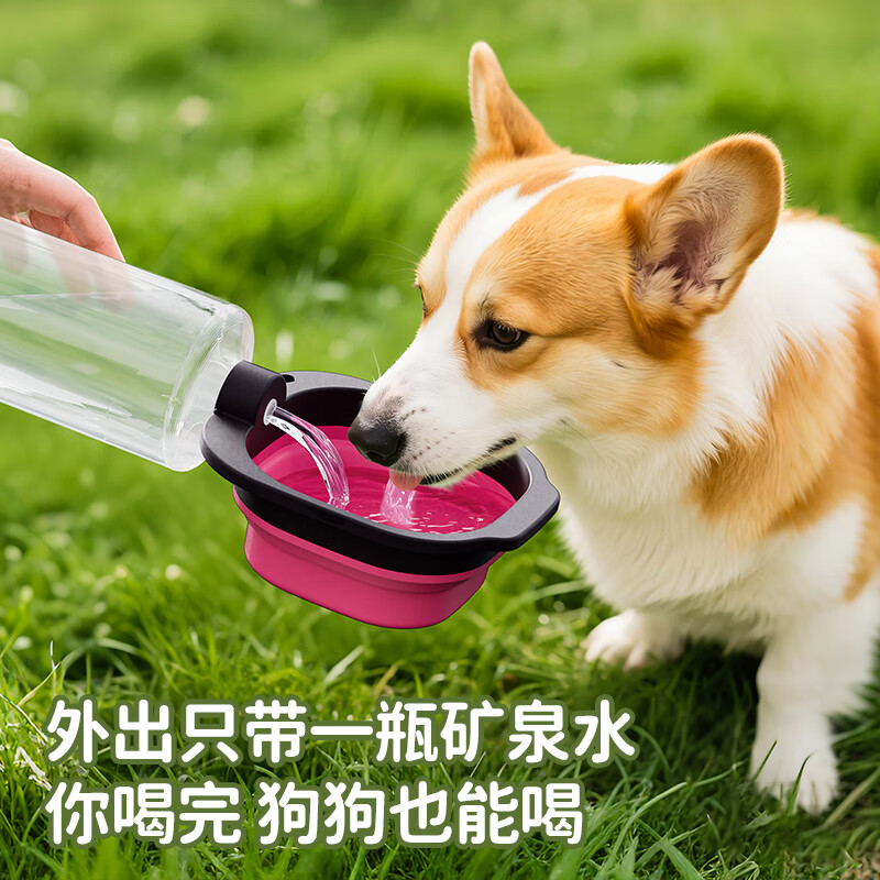 JKULNING宠物折叠碗狗狗喝水外出便携喝水碗猫咪饮水盆出行狗狗食盆饮水碗
