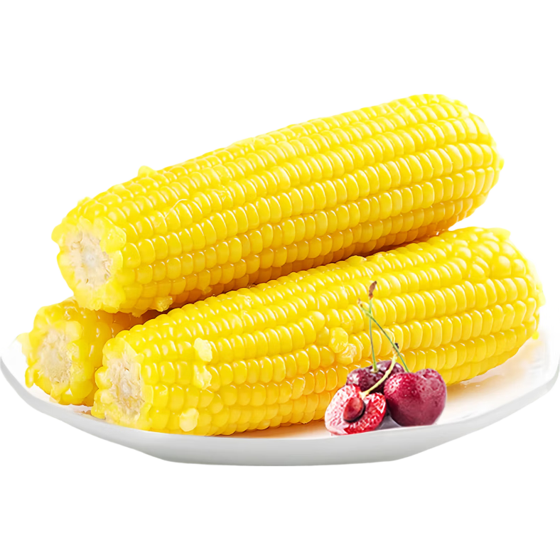 东北甜糯玉米 黄糯玉米真空包装加热即食速食玉米棒糯玉米 黄糯玉米2小棒（单棒130g-180g）