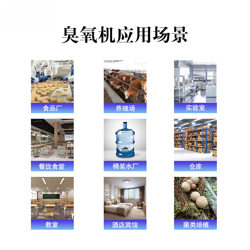 拓普万 TOPUVAN臭氧发生器商用家用强力除臭除甲醛异味空气净化消毒神器食品厂垃圾房空气消毒杀菌除臭设备 蓝色款【30g/h空间消毒+1g水消毒】