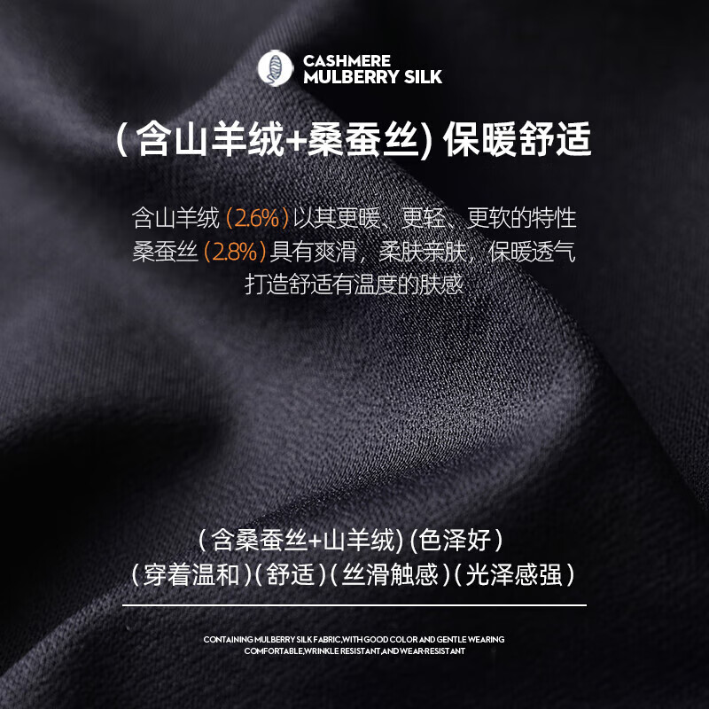 SHANSHAN杉杉男士山羊绒长袖T恤秋冬季保暖亲肤内搭衬衫领休闲莫代尔上衣 黑色 2XL /185