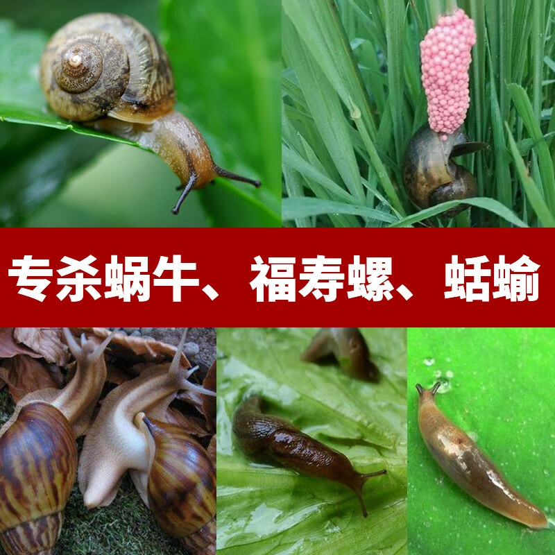 东合6%四聚乙醛乙酫草坪菜地家用蔬菜果树杀蜗牛药福