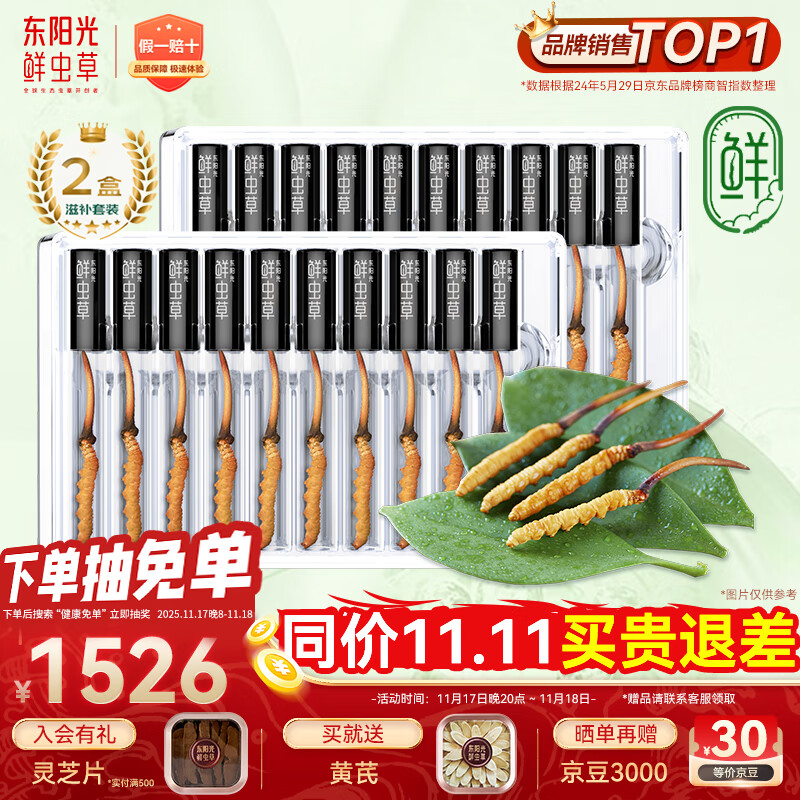 东阳光鲜虫草0.4-0.6g/根20根新鲜冬虫夏草补品送长辈老人源头直发包邮