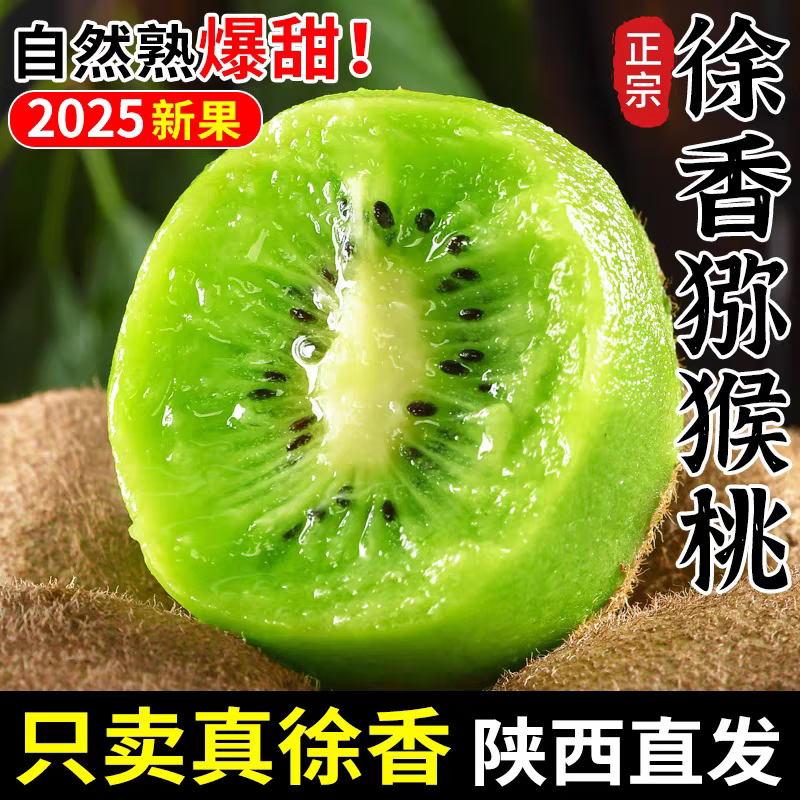 秋宜 陕西徐香猕猴桃 绿心奇异果孕妇当季时令新鲜水果送礼品包邮 精选10粒装单果50-80g 新鲜采摘