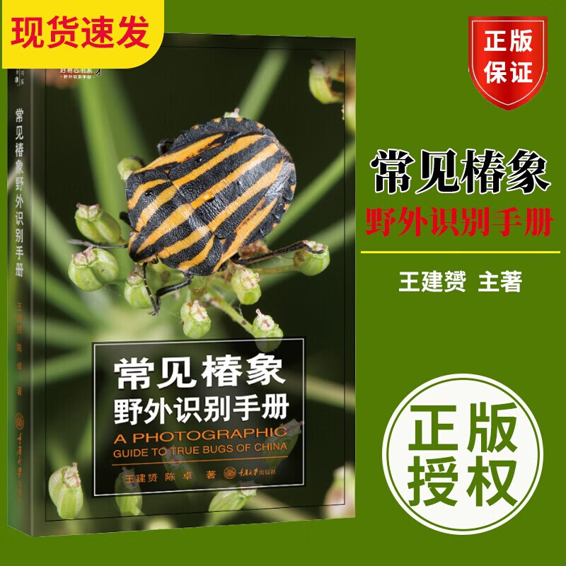 好奇心书系  常见椿象野外识别手册  王建赟，陈卓 著  重庆大学